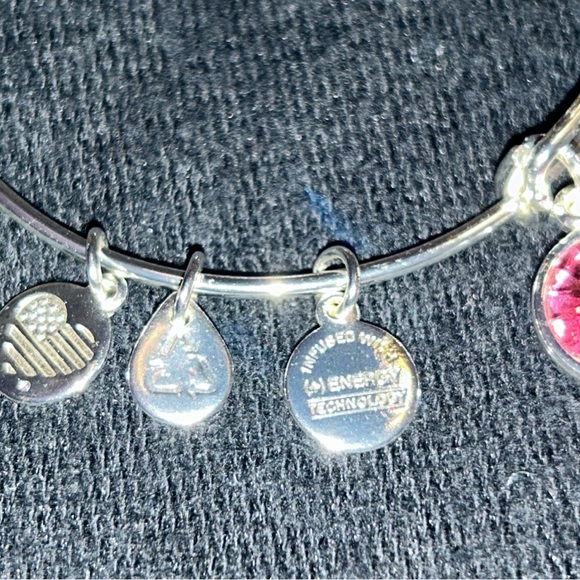 Alex & Ani Bangle Bar Pink Tourmaline October Birthstone Bangle Bracelet - Picture 13 of 14